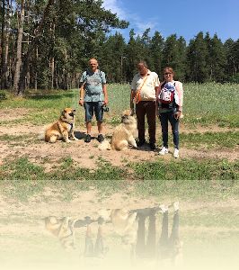 Spaziergang in Franken am 10.06.2018